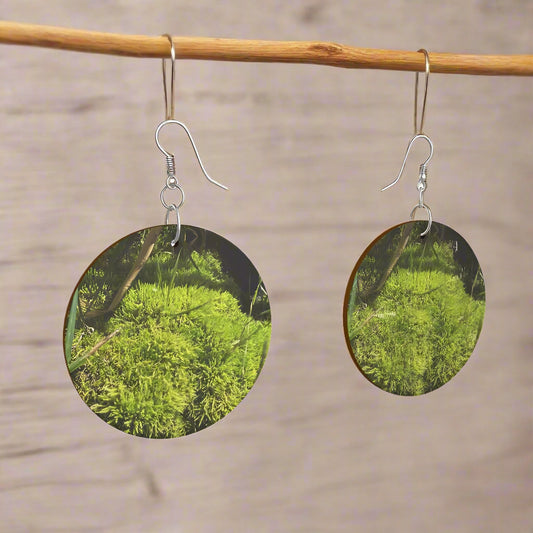 Forest Velvet